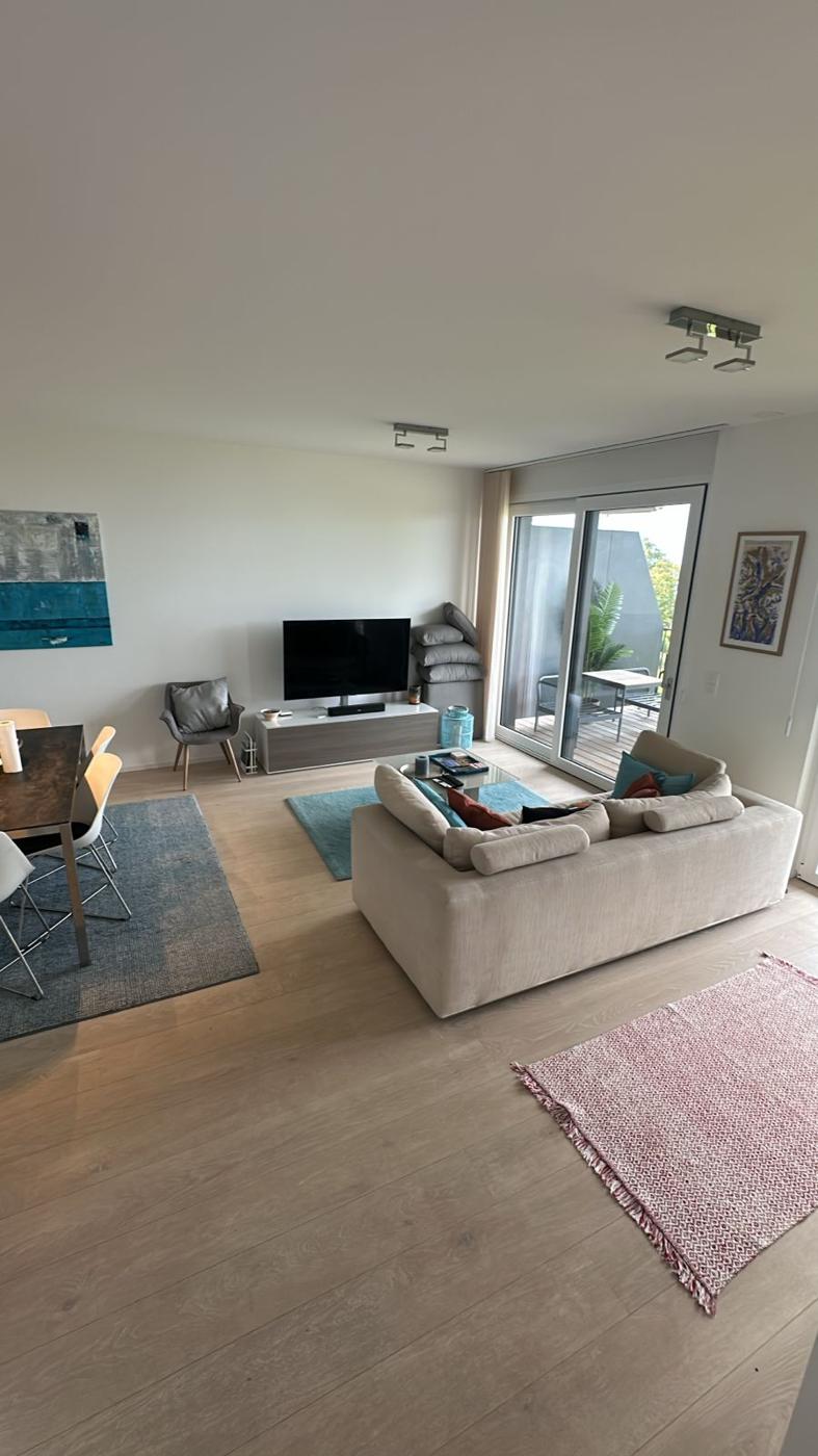Salon moderne entretenu, sol et mobilier impeccables